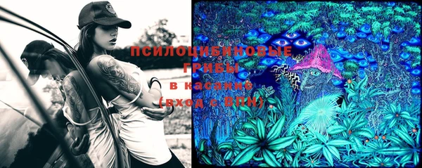 героин Белокуриха