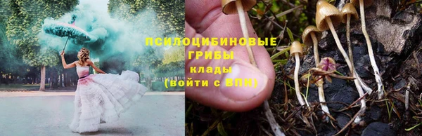 гидропоника Белоозёрский