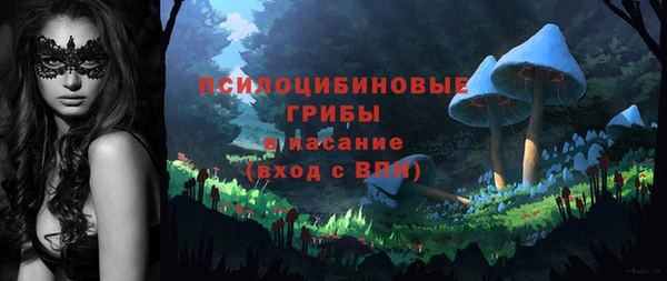 гидропоника Белоозёрский
