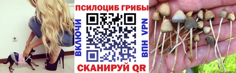 Псилоцибиновые грибы мицелий  продажа наркотиков  Еманжелинск 